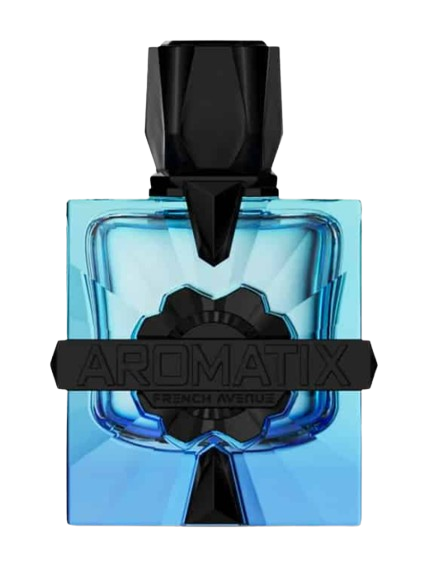 French Avenue French Avenue Aromatix Magnetiq EXP 100 ml