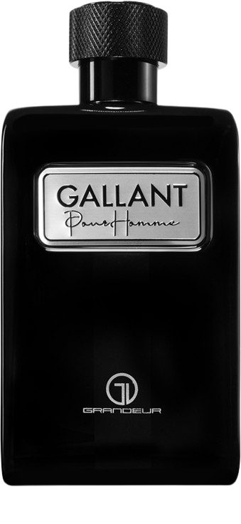 Grandeur Grandeur Gallant EDP 100 ml