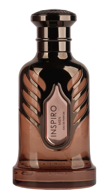 RiiFFS Riiffs Inspiro Men EDP 100 ml