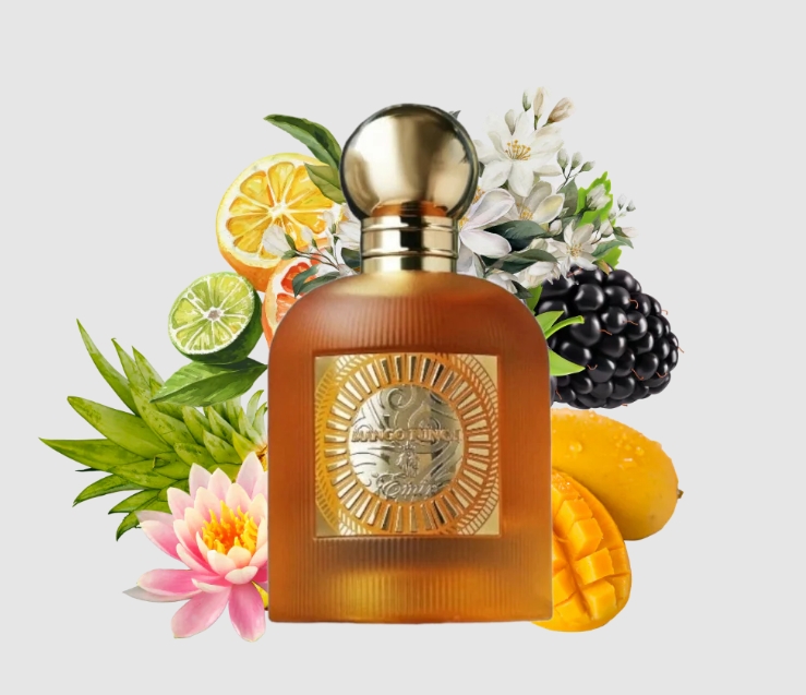 Emir Mango Punch EDP 100 ml