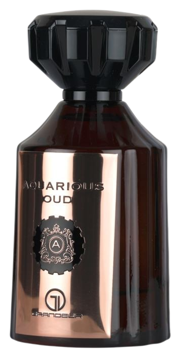 Grandeur Grandeur Aquarious Oud EDP 100 ml